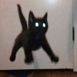 Meet your Posher, Yikes